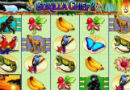 Gorilla_Chief_130x90
