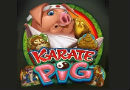 Karate_Pig-130x90