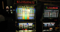 lions_share_206x112